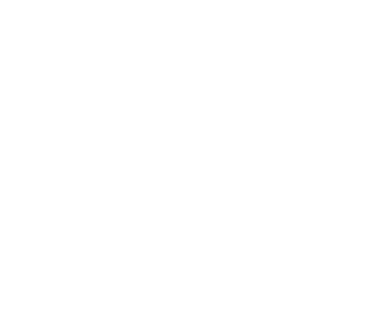 ZENIT IGH